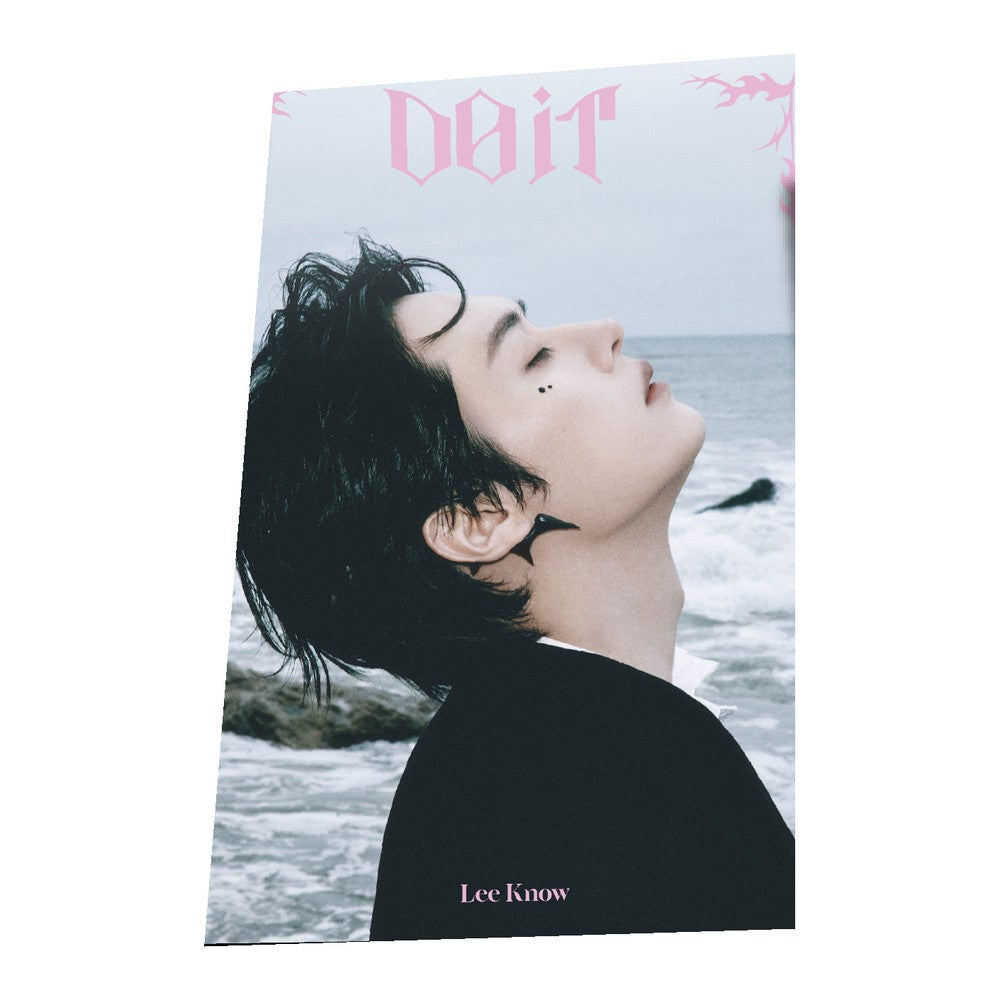 STRAY KIDS - SKZ IT TAPE 'DO IT' (Accordion ver.) album — ACCORDION LEE KNOW