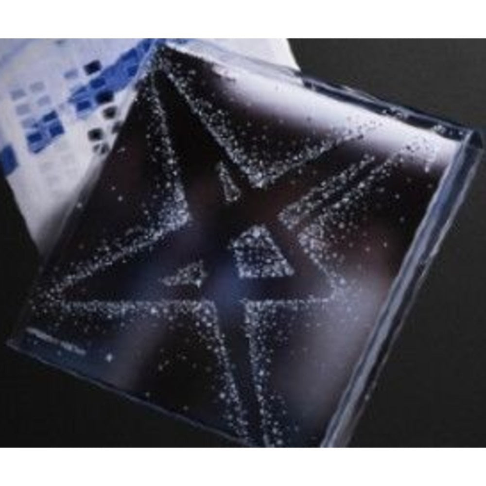 TOMORROW X TOGETHER - 'The Star Chapter: TOGETHER' (Photobook ver.) album — PHOTOBOOK ETCHED